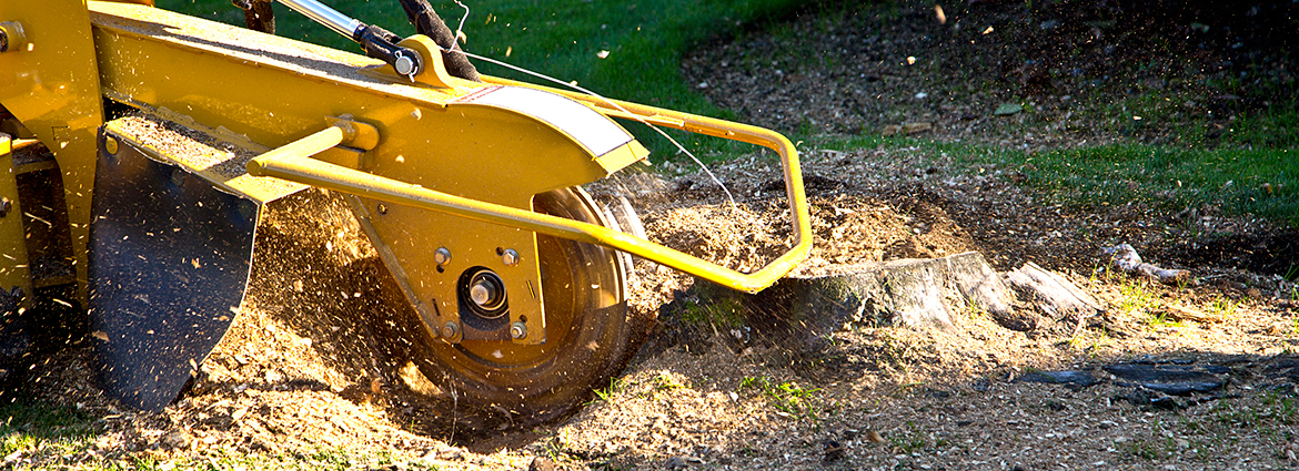 NH Stump Removal